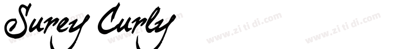 Surey Curly字体转换